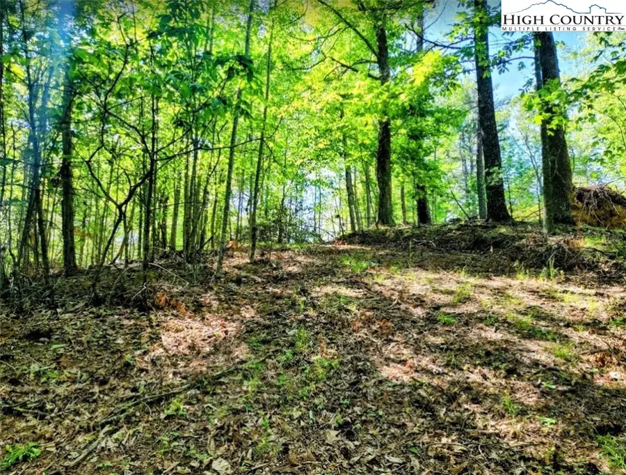 TBD Lucky Leaf Lane, Vilas, NC 28692 - Image #2