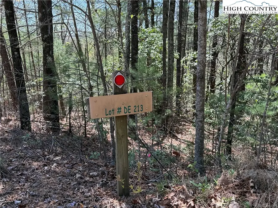 Lot 213 Casey Mountain Road, Purlear, NC 28665 - Image #3