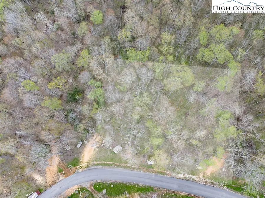 ES-97 Twisted Oak Path, Banner Elk, NC 28604 - #2