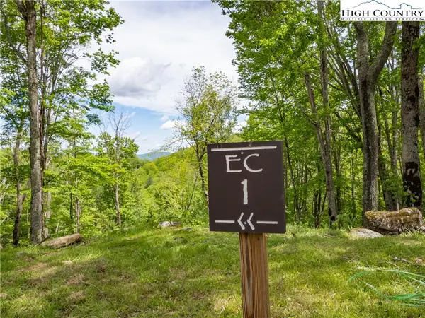 EC1 Eagle Crest Trail, Elk Park, NC 28604