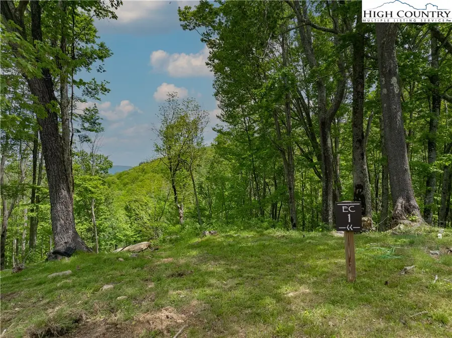 EC1 Eagle Crest Trail, Beech Mountain, NC 28604 - Image #2