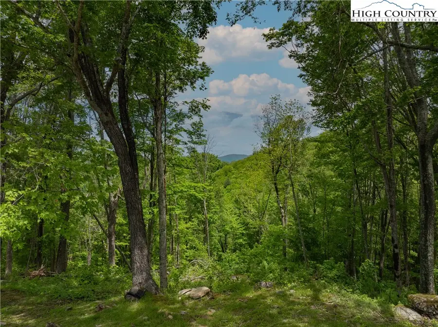 EC1 Eagle Crest Trail, Beech Mountain, NC 28604 - Image #3