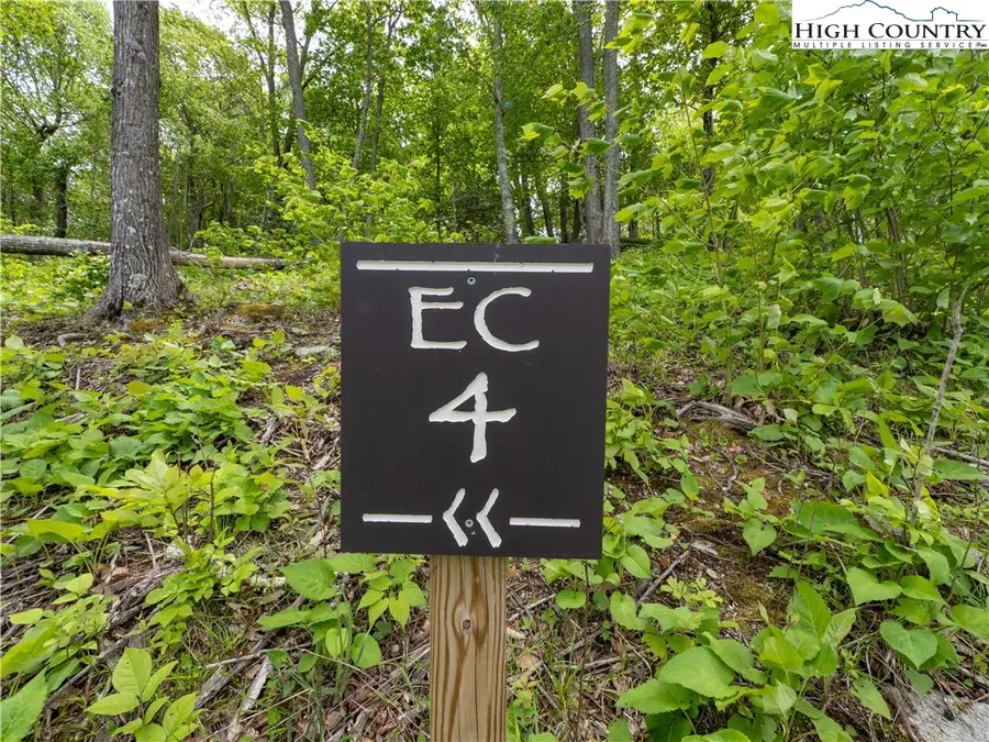 EC4 Eagle Crest Trail, Beech Mountain, NC 28604 - Image #3