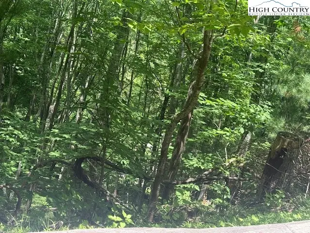 TBD Deerwood Road #58, Sparta, NC 28675 - Image #2