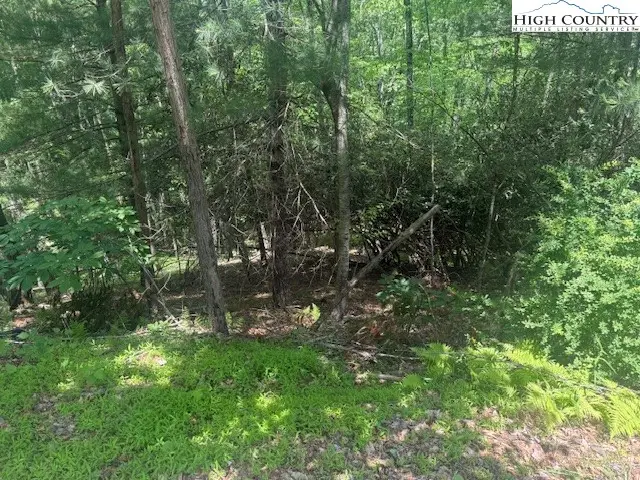TBD Deerwood Road #58, Sparta, NC 28675 - Image #3
