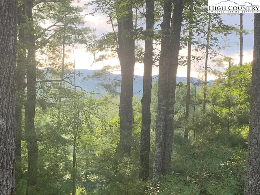 Lot #67 Autumn Fern Trail, West Jefferson, NC 28694 - Image #3