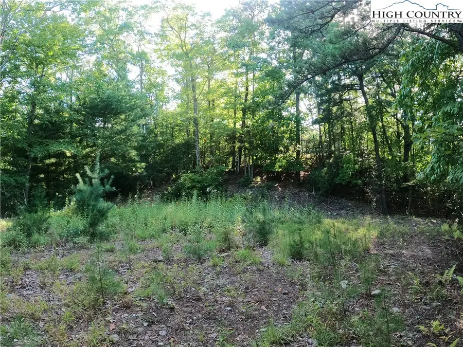 Lot 60 Sunrise Valley Drive, Boone, NC 28607 - Image #2