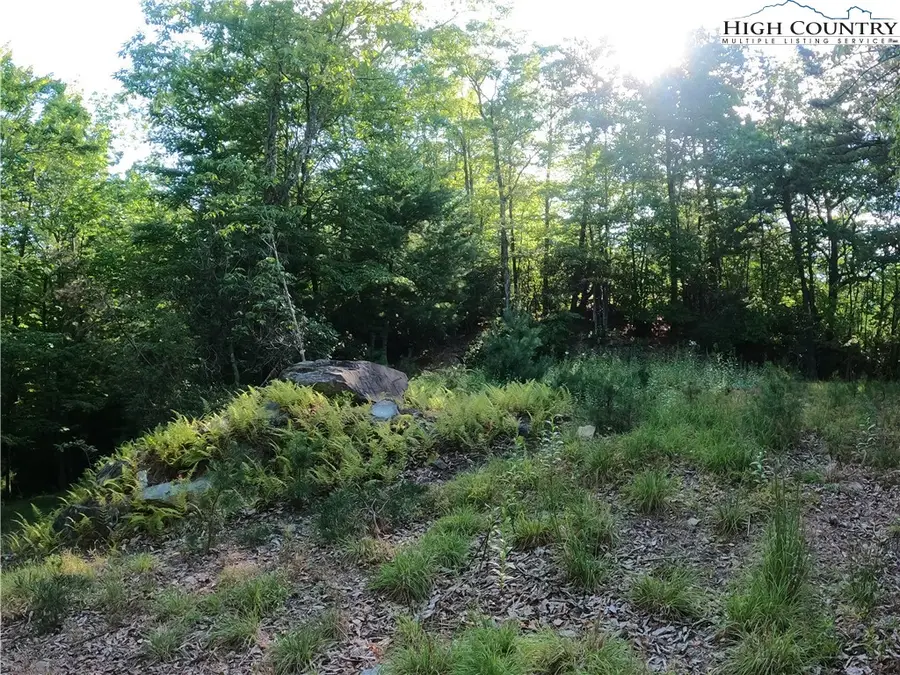 Lot 60 Sunrise Valley Drive, Boone, NC 28607 - Image #3