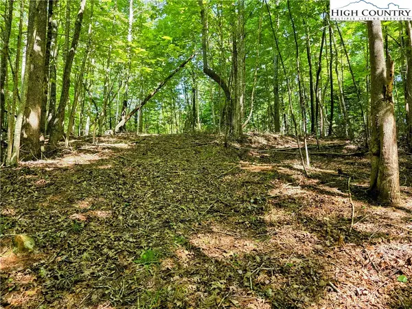 Lot 2B Brightwood Trail, Deep Gap, NC 28618
