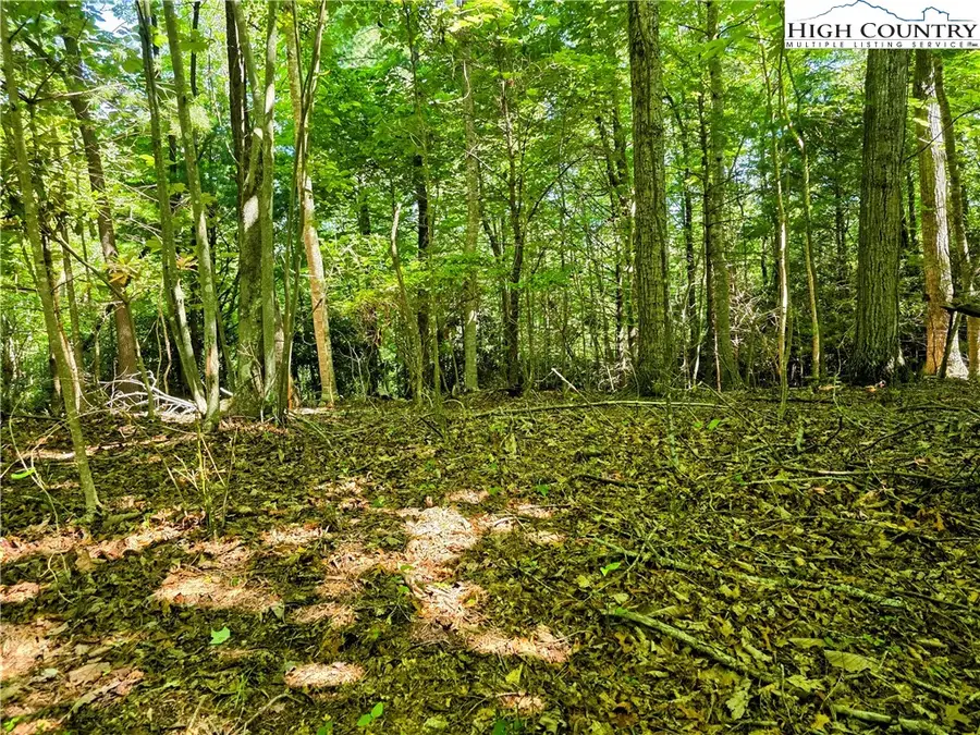Lot 2B Brightwood Trail, Deep Gap, NC 28618 - Image #3