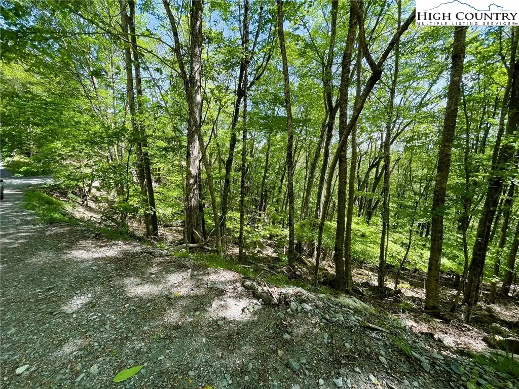 234/236/135 Lakeledge Road Circle, Beech Mountain, NC 28604 - Image #1