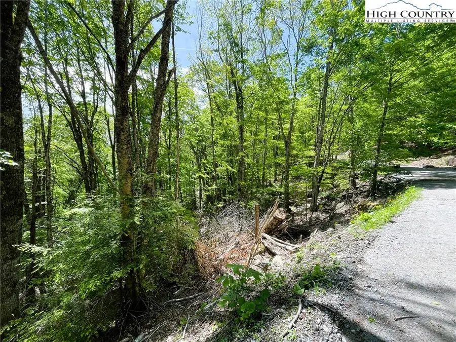 234/236/135 Lakeledge Road Circle, Beech Mountain, NC 28604 - Image #3