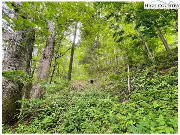 TBD Ben Bolen Road, Creston, NC 28615