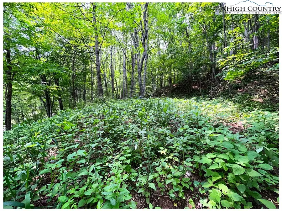 TBD Ben Bolen Road, Creston, NC 28615 - Image #2