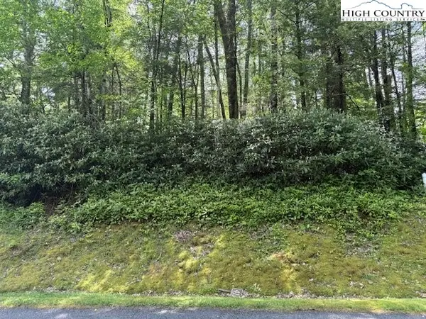 Lot 42 Linville River Lane, Linville, NC 28646
