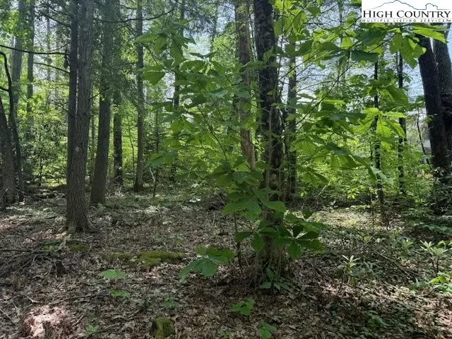Lot 42 Linville River Lane, Linville, NC 28646 - Image #2