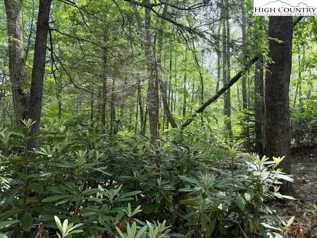Lot 42 Linville River Lane, Linville, NC 28646 - Image #3