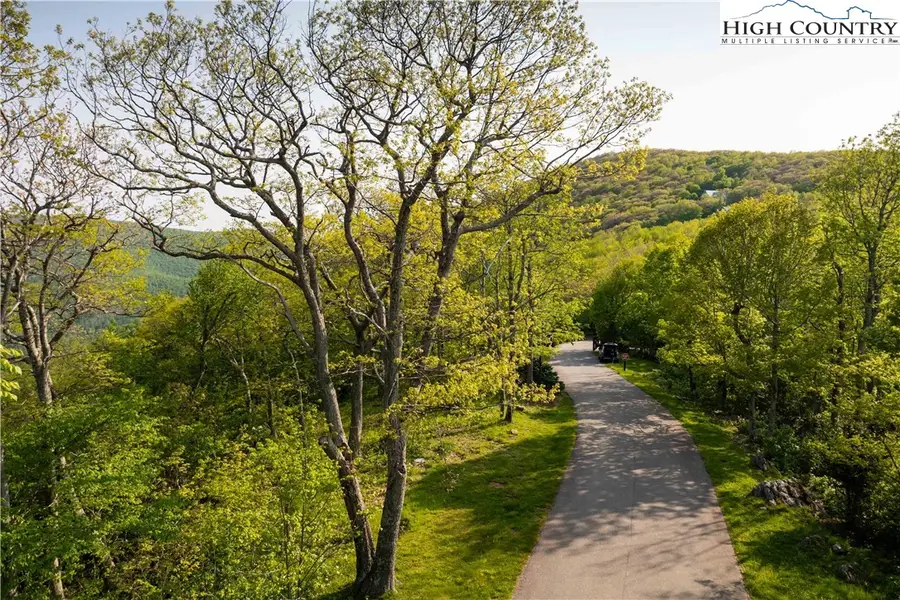 Lot 4 Crown Point Road, West Jefferson, NC 28694 - Image #3