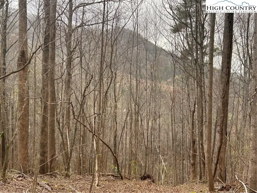 1122 Three Mile Highway, Newland, NC 28657 - Image #3