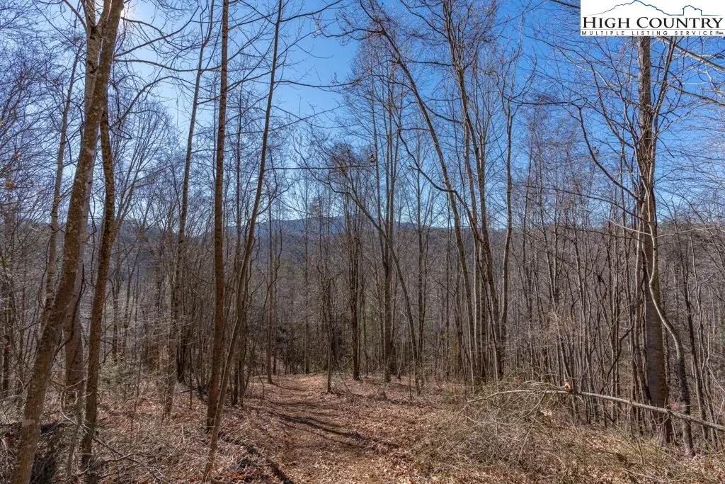 3000 Elk River Road, Elk Park, NC 28622 - Image #1