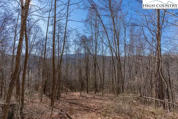 3000 Elk River Road, Elk Park, NC 28622