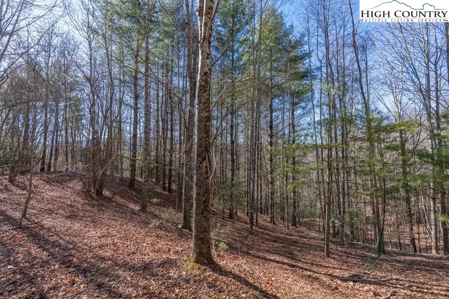 3000 Elk River Road, Elk Park, NC 28622 - Image #2