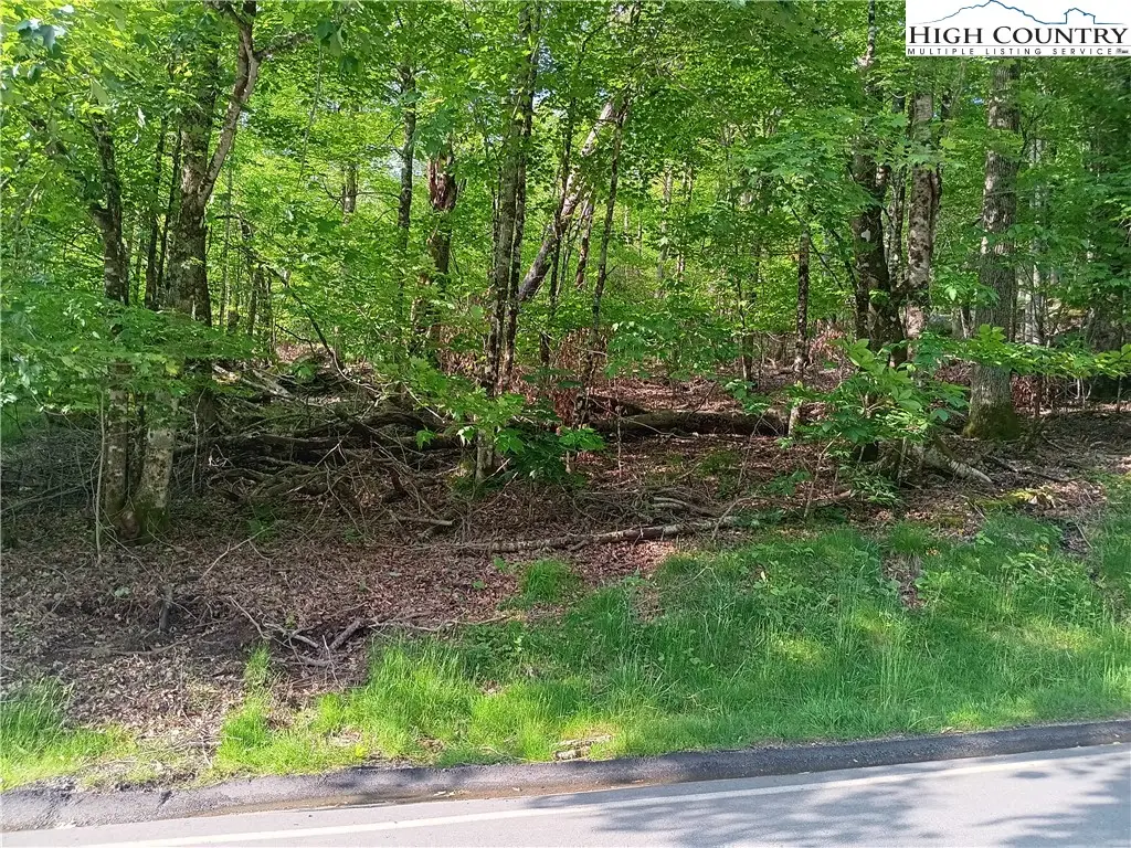 112 Tamarack Road, Beech Mountain, NC 28604 - Image #1