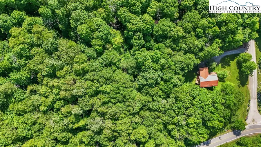 233 Woodland Springs Trail, Boone, NC 28607 - Image #2