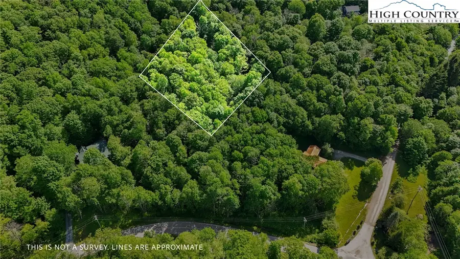 233 Woodland Springs Trail, Boone, NC 28607 - Image #3