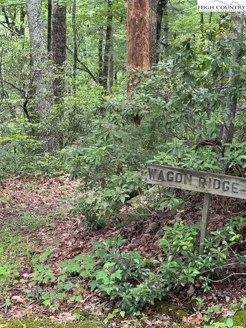 11 Wagon Ridge Road, Ferguson, NC 28624 - Image #3