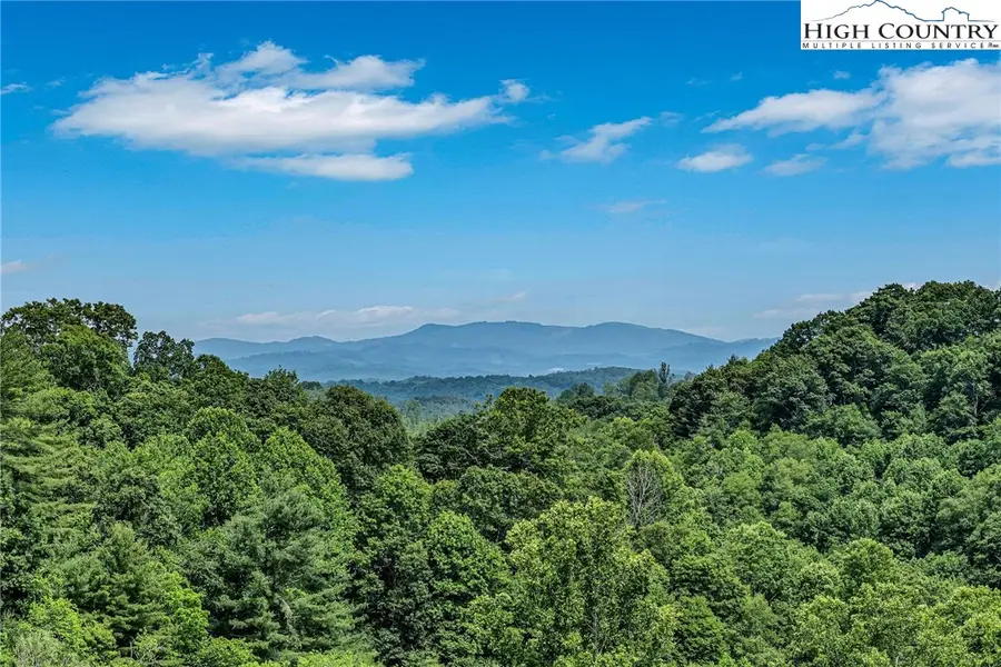 12443 Old Hwy 16, Grassy Creek, NC 28631 - Image #3