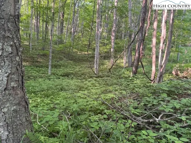 Lot 58 Beechwood Circle, Creston, NC 28615 - Image #1