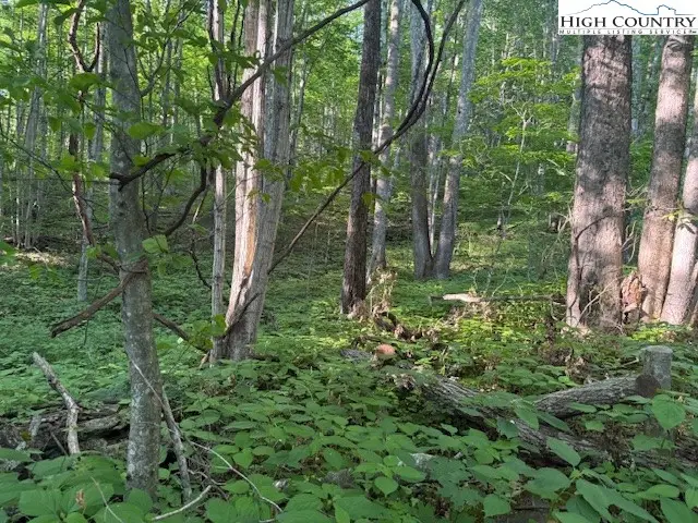 Lot 58 Beechwood Circle, Creston, NC 28615 - Image #3