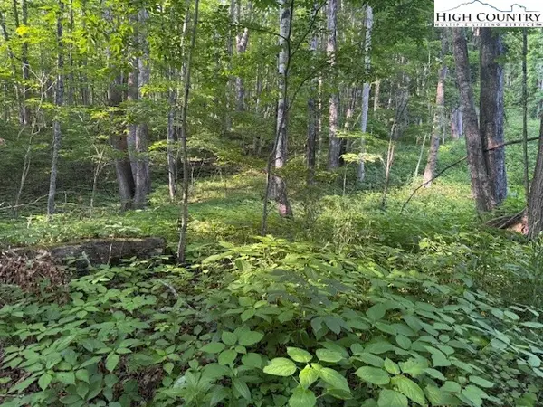 Lot 58 & 59 Beechwood Circle, Creston, NC 28615