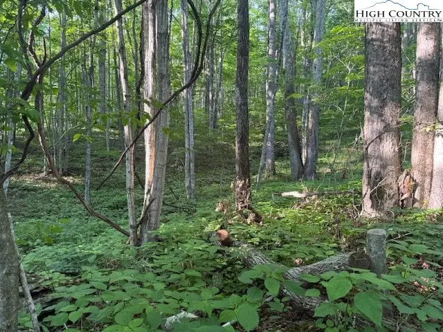 Lot 58 & 59 Beechwood Circle, Creston, NC 28615 - Image #3