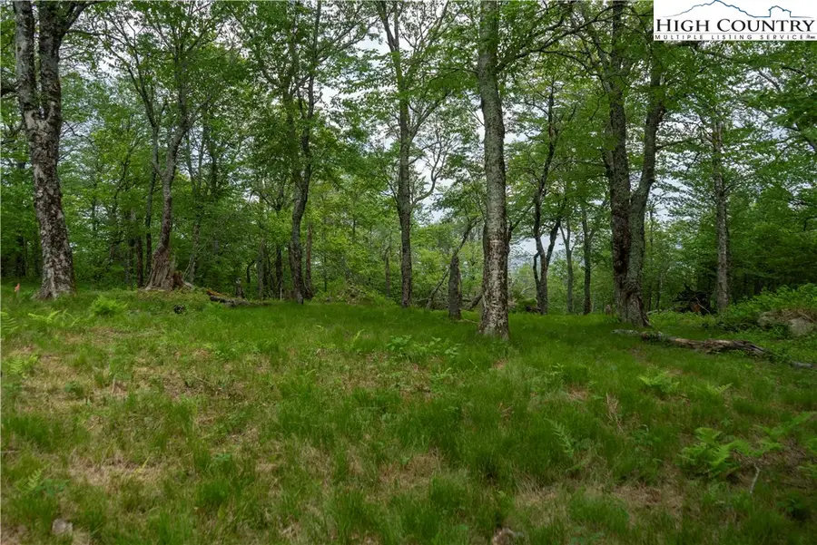 75 Green Cliffs Road, Sugar Mountain, NC 28604 - Image #2