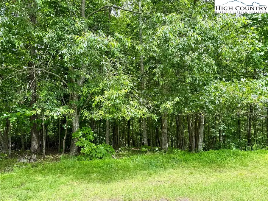 Lot 20 Twin Bridges Circle, Fleetwood, NC 28626 - Image #2