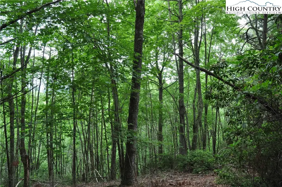 Lot 3 Sec 11 Talons Drive, Boone, NC 28607 - Image #2
