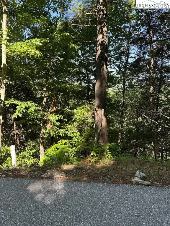 Lot 43 Quail Hollow Drive, Blowing Rock, NC 28605 - Image #2