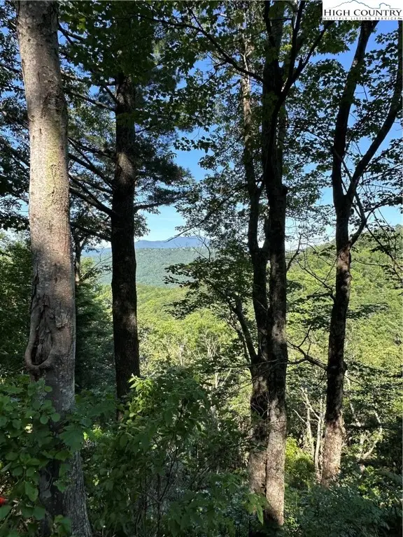 Lot 43 Quail Hollow Drive, Blowing Rock, NC 28605 - Image #3