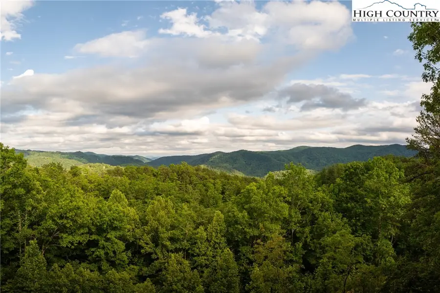 52 Coral Bells Trail, Ferguson, NC 28624 - Image #2