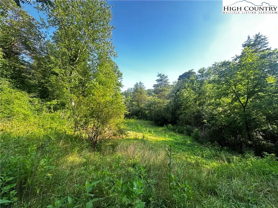 2034 Champion Mt Pleasant Road, Ferguson, NC 28624 - #2