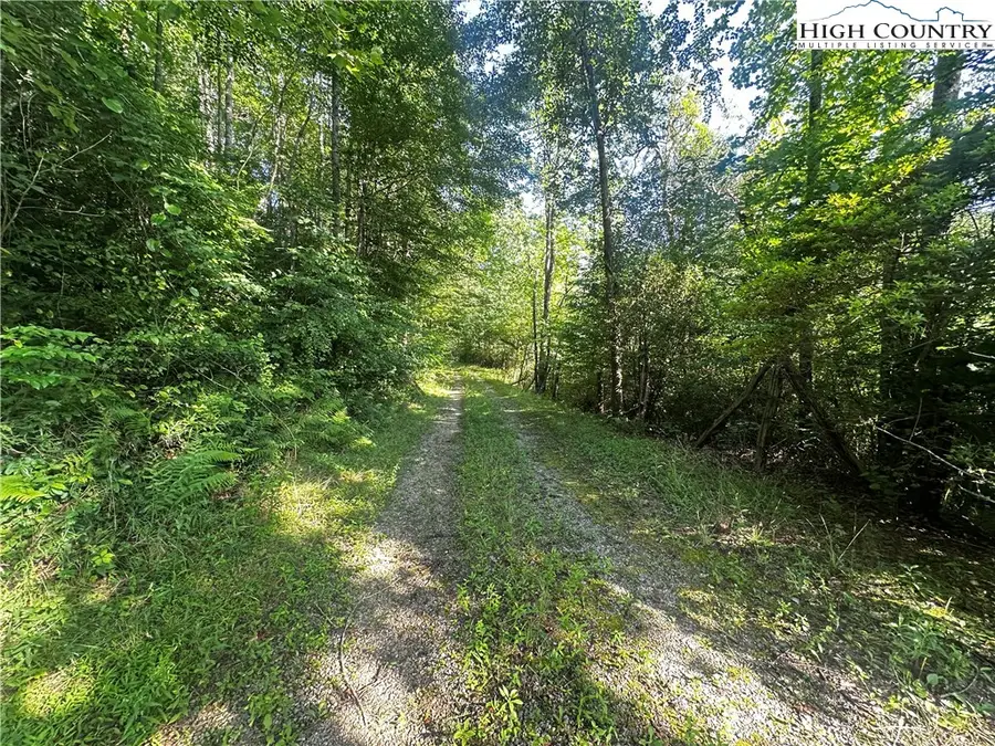 2034 Champion Mt Pleasant Road, Ferguson, NC 28624 - #3