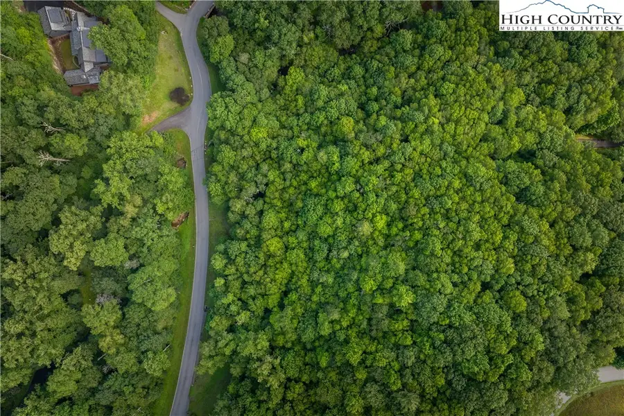 TBD Lot 106 Firethorn Trail, Blowing Rock, NC 28605 - Image #3