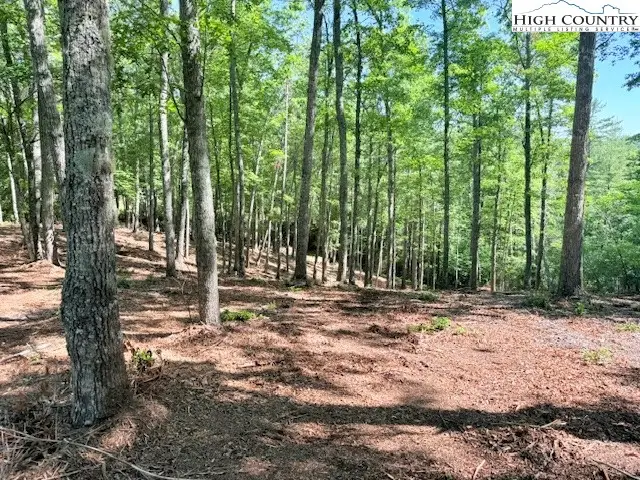 Lot 42 Smoke Rise Path, West Jefferson, NC 28694 - Image #2