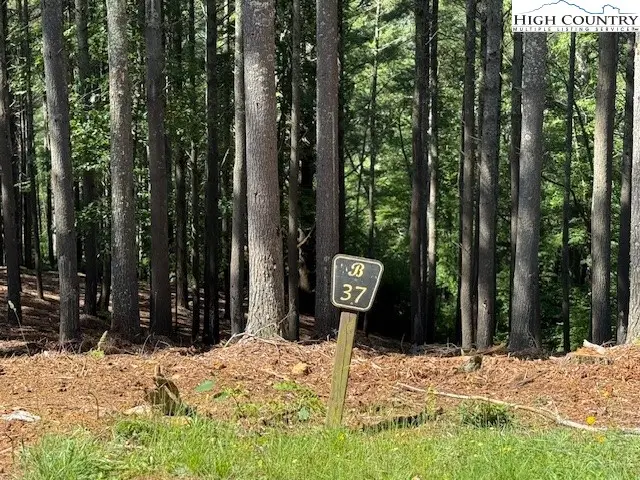 Lot 37 Smoke Rise Path, West Jefferson, NC 28694 - Image #2