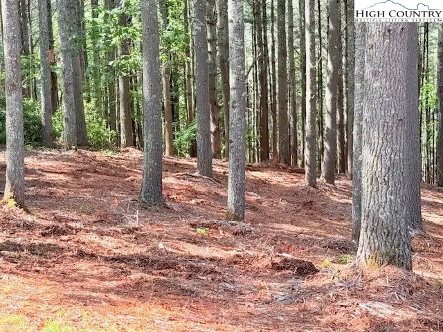 Lot 37 Smoke Rise Path, West Jefferson, NC 28694 - Image #3