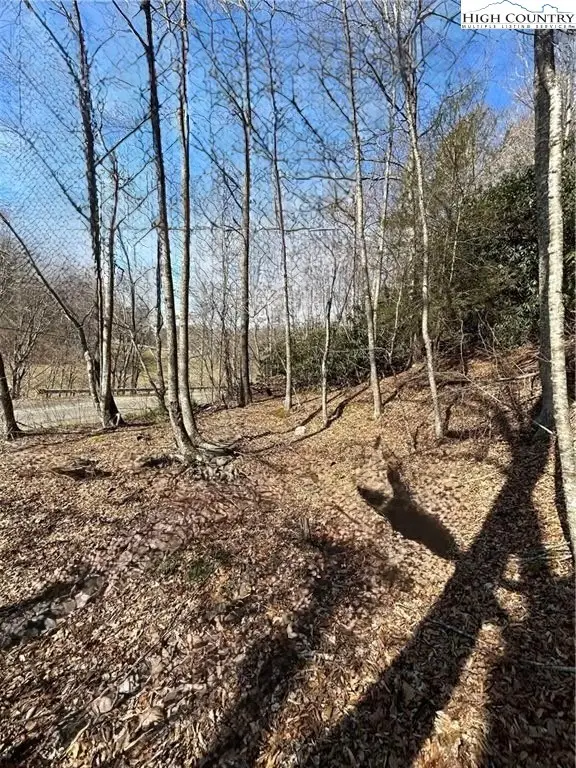 TBD Hwy 88, Creston, NC 28615 - Image #1