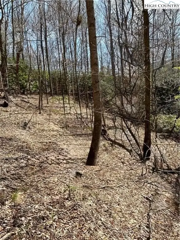 TBD Hwy 88, Creston, NC 28615 - Image #3