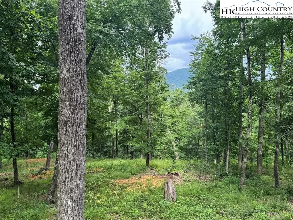 7 Autumn Lane, West Jefferson, NC 28694 - Image #1